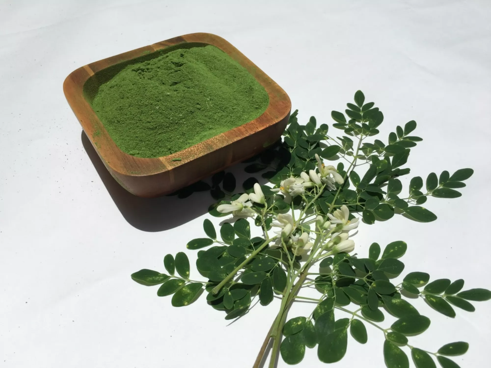 Moringa pomáha pri mnohých chorobách - Via Organika SK